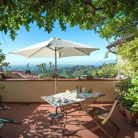 The Hill Terrace Apartment
