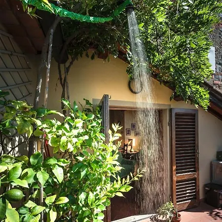The Hill Terrace Apartment