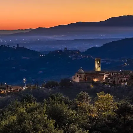 The Hill Terrace 아파트