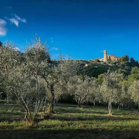The Hill Terrace